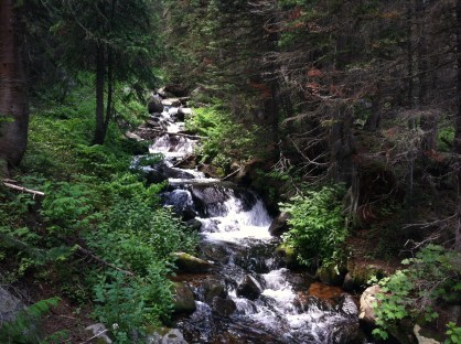 James Peak Wilderness Falls
